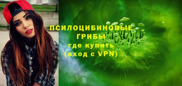 ПСИЛОЦИБИНОВЫЕ ГРИБЫ Беломорск